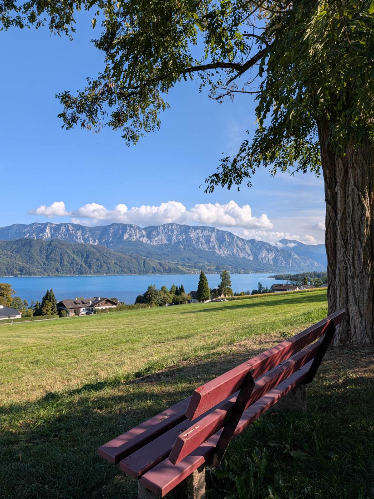 Traumhafte Lage – Bild 7