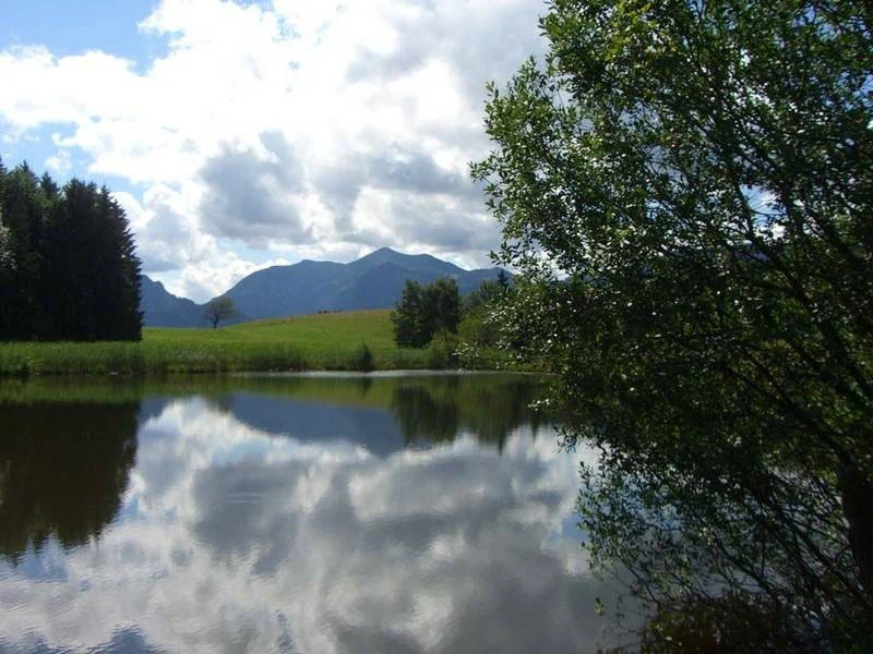 Traumhafte Lage – Bild 10