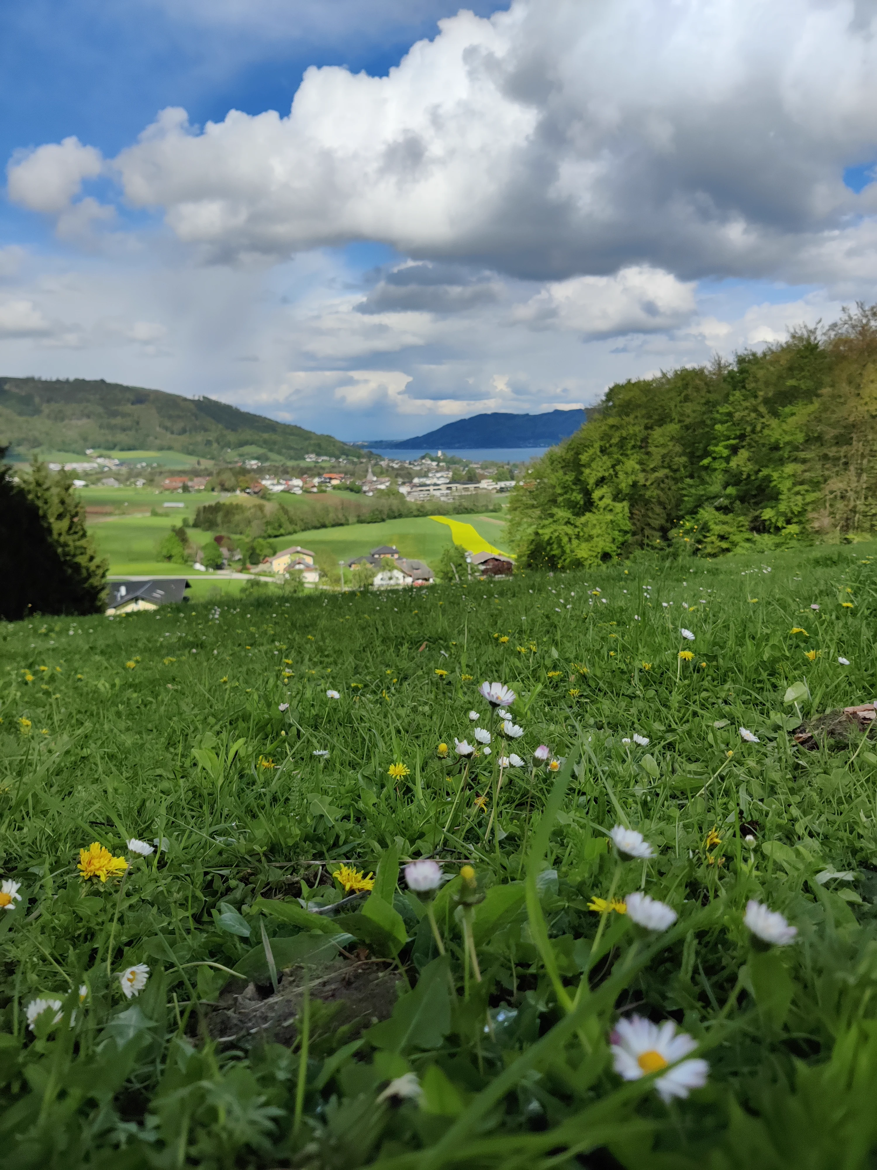 Traumhafte Lage – Bild 15