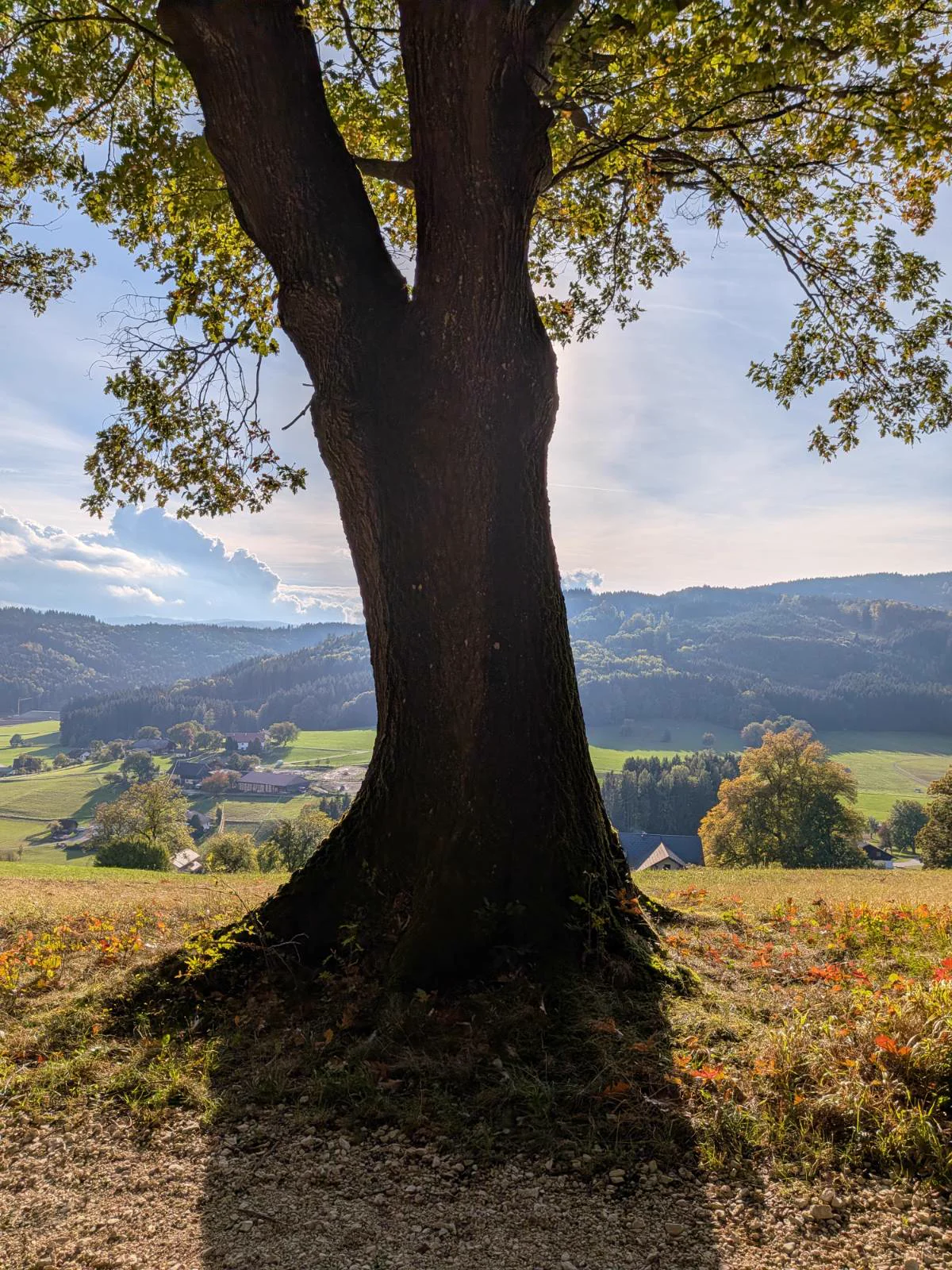 Traumhafte Lage – Bild 32