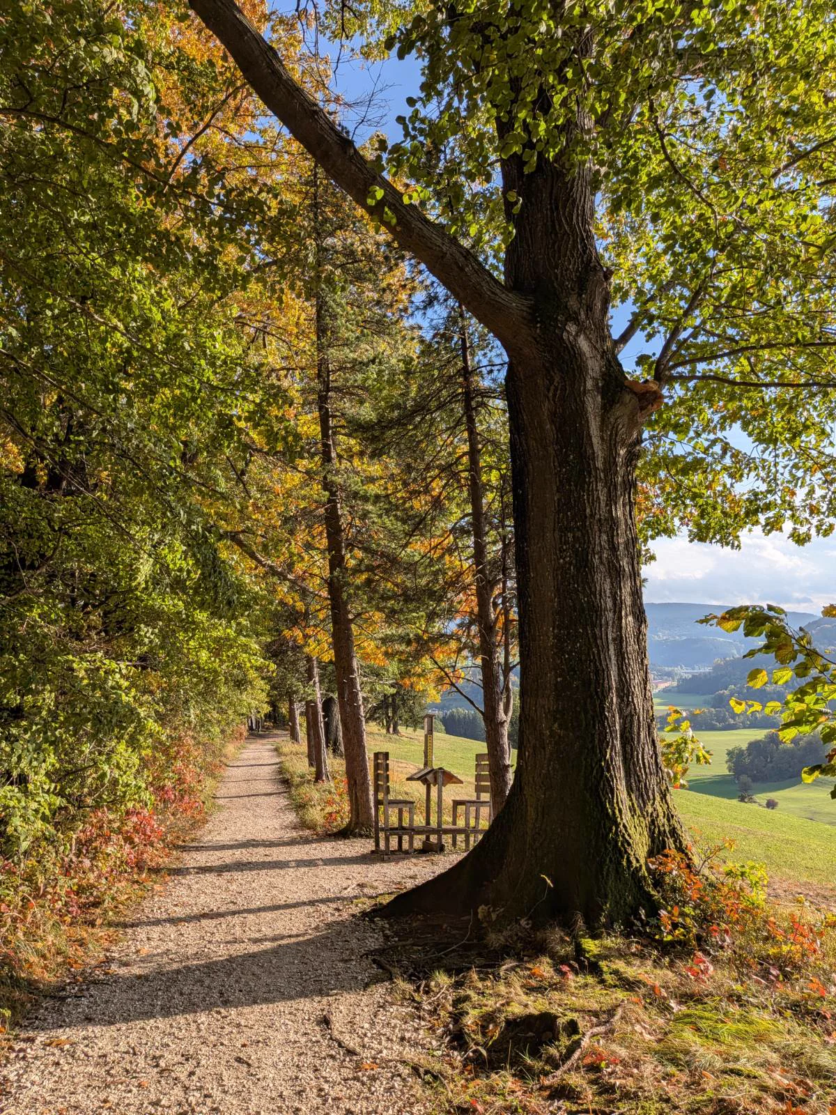 Traumhafte Lage – Bild 33