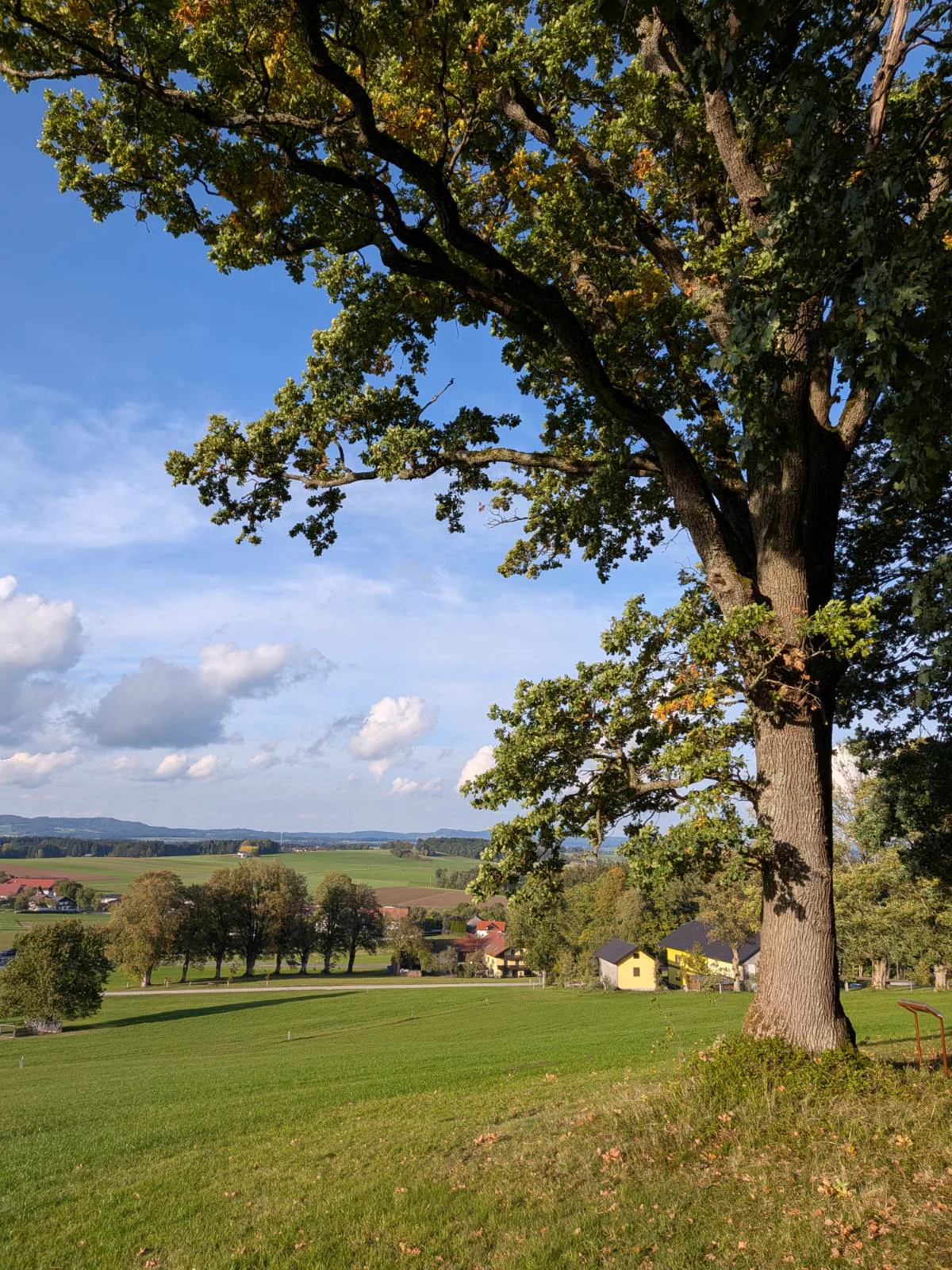 Traumhafte Lage – Bild 34